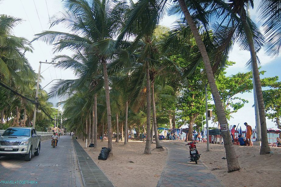 Palm Alley along the beach