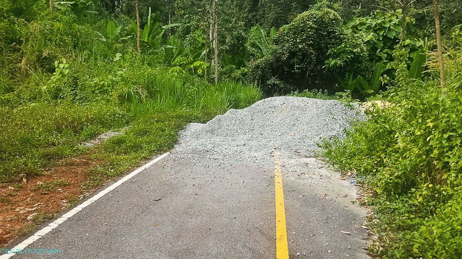 Here's how you can guess what's behind the bunch in the thickets path?