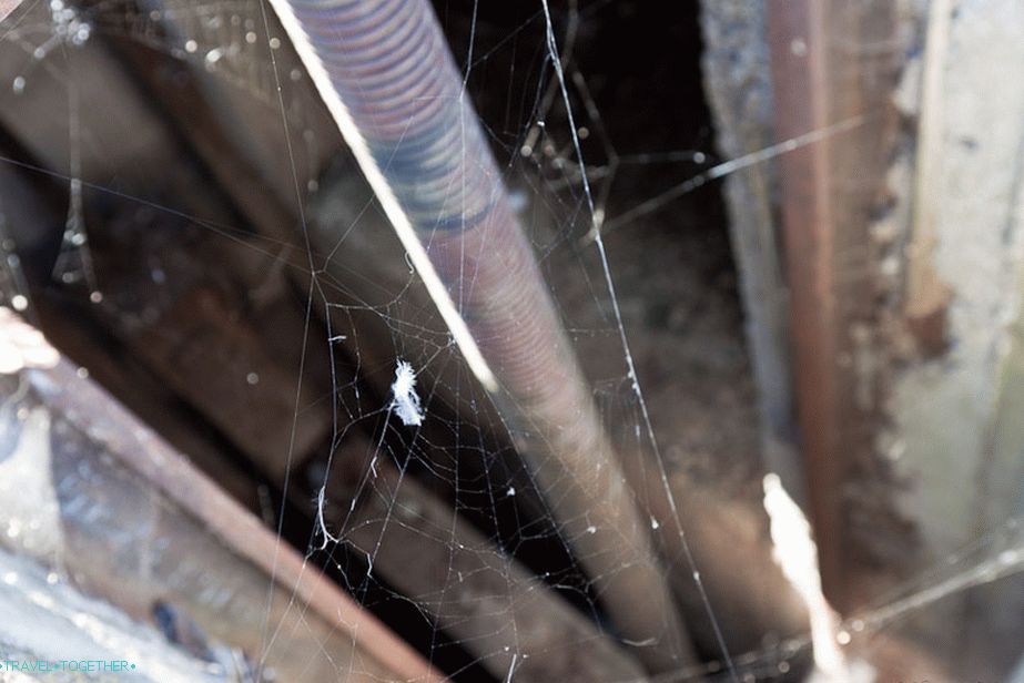 For a long time there was no man's hand