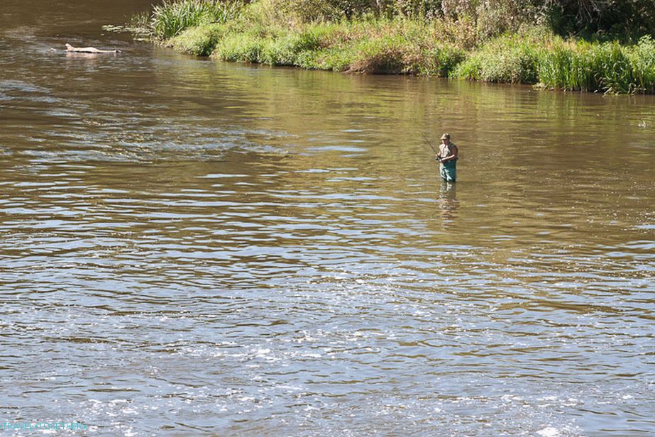 A good place for fishing