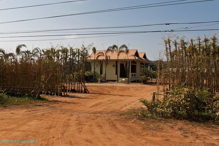 On the road from Chiang Saen to the Golden Triangle
