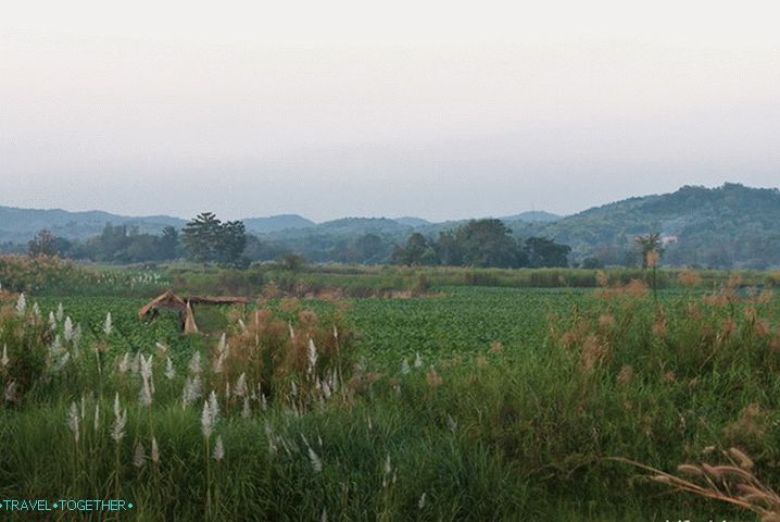 Around Chiang Saen