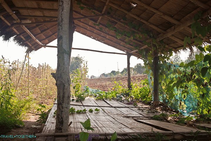 On the road from Chiang Saen to the Golden Triangle