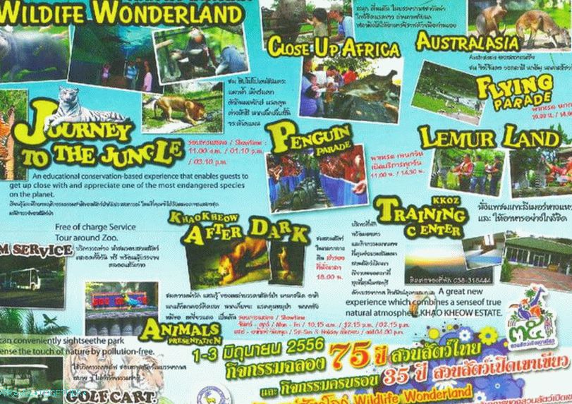 Khao Kheo Zoo in Pattaya