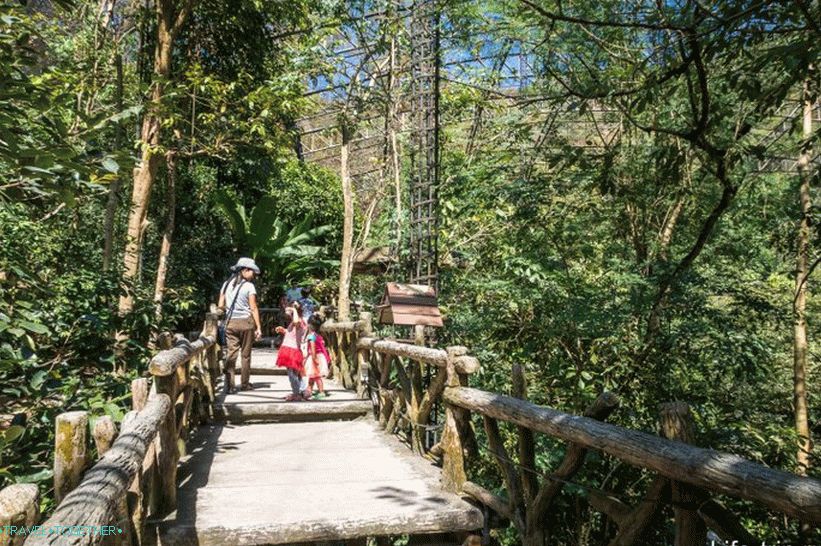 Khao Kheo Zoo in Pattaya - the best in Thailand