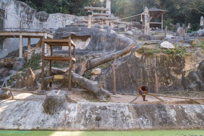 Khao Kheo Zoo in Pattaya - the best in Thailand