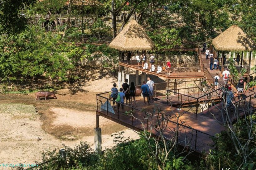Khao Kheo Zoo in Pattaya - the best in Thailand