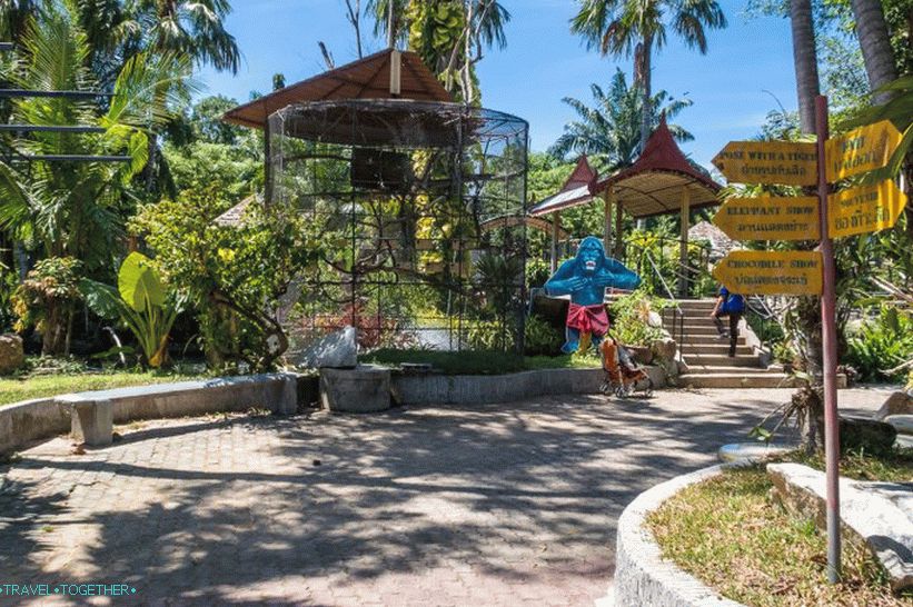 Phuket Zoo - my review, prices, photos and schedule of the show