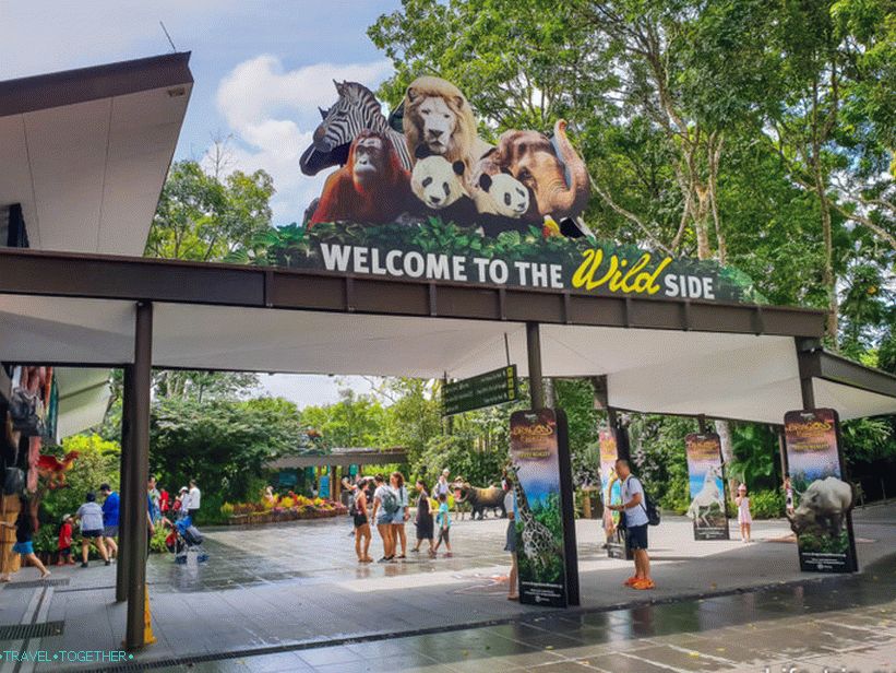 Zoo in Singapore Manday
