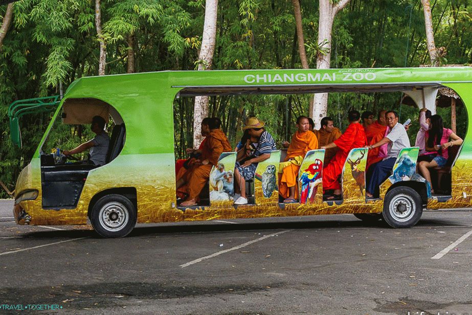 Buses to move around the zoo