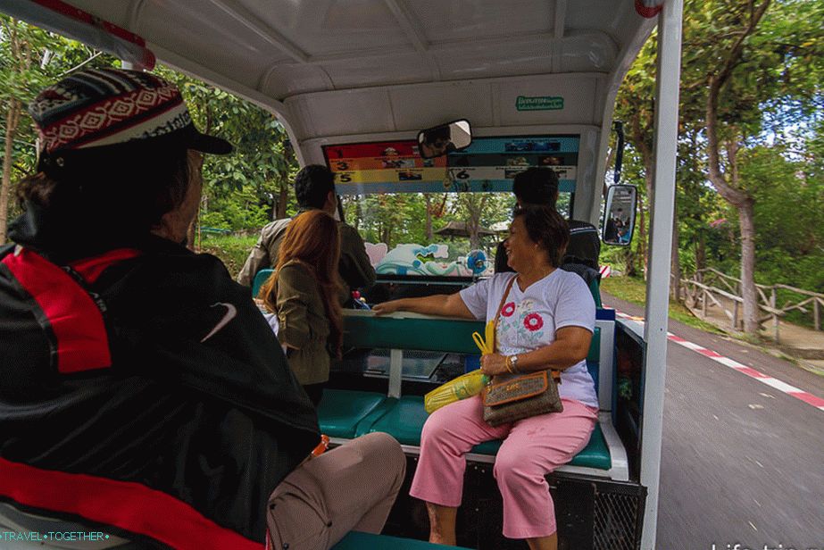 The driver tells something very interesting in Thai, and I look around