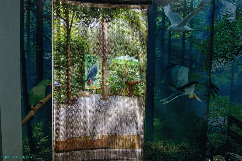 Heavy chain closes the entrance to the aviary