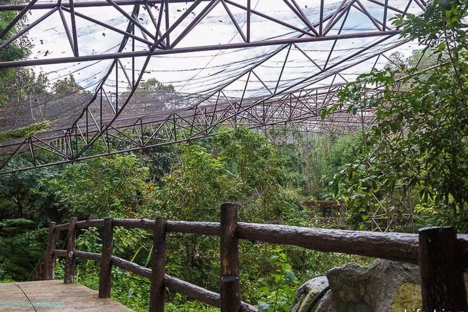 Aviary is a big cage