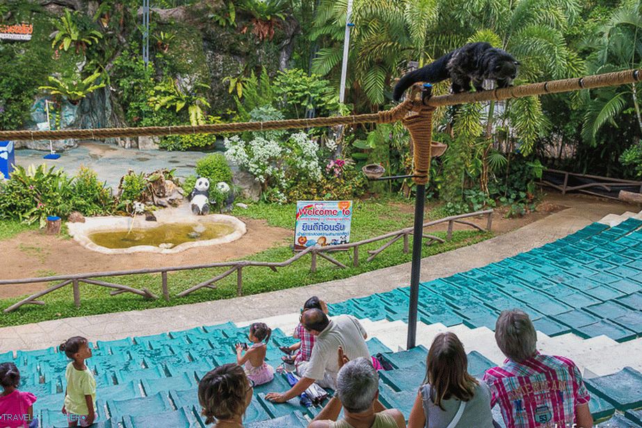 Next to the aviary are performances for children