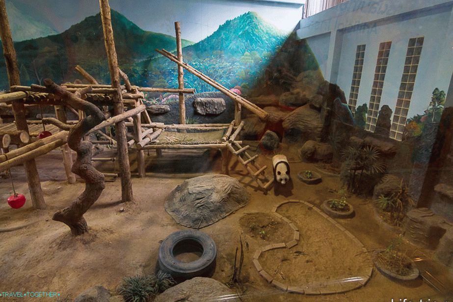The first pavilion with pandas, here they are behind the glass