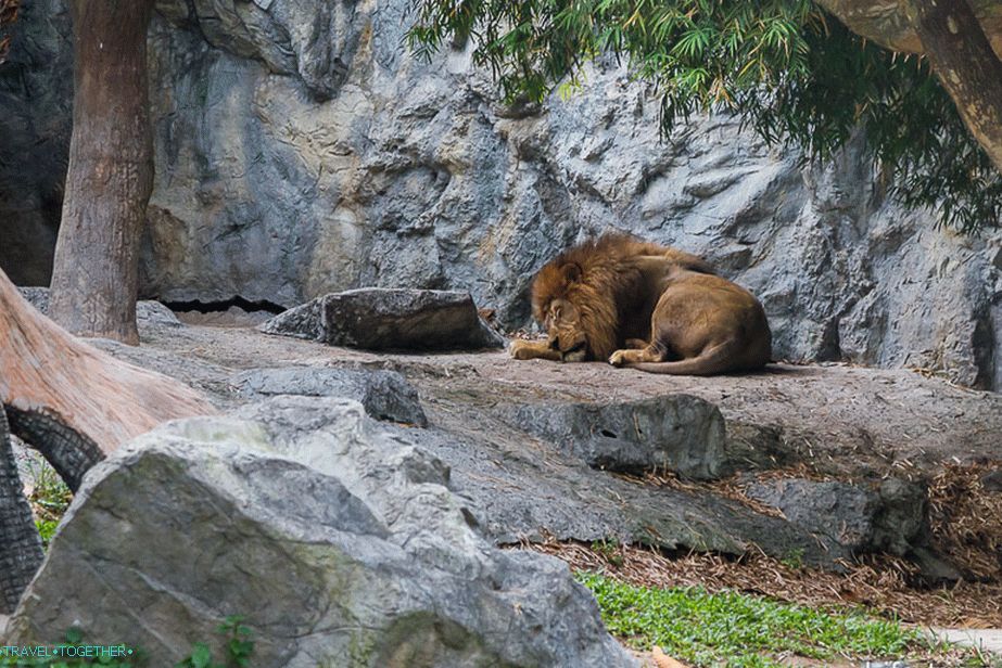 Sleeping