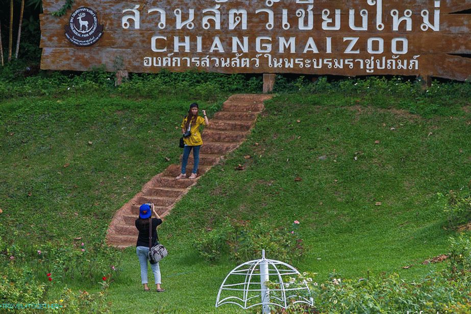 Zoo in Chiang Mai