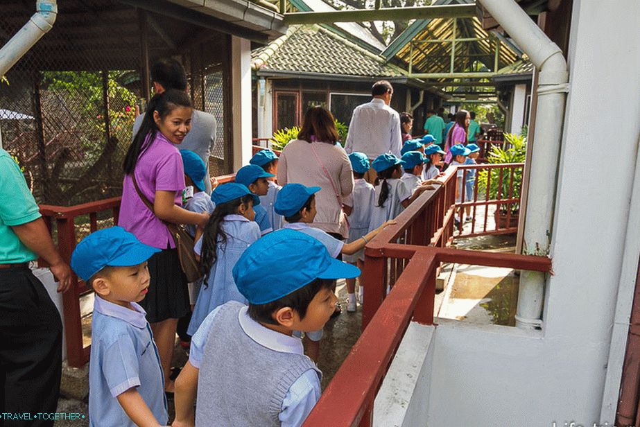 Thai kindergarten on the walk